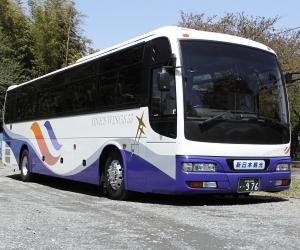 97691o89e.jpg